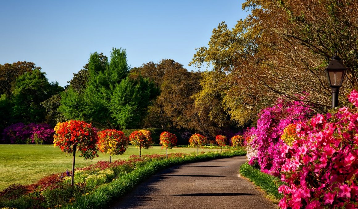 Meer groen in de straat: zelf aan de slag!