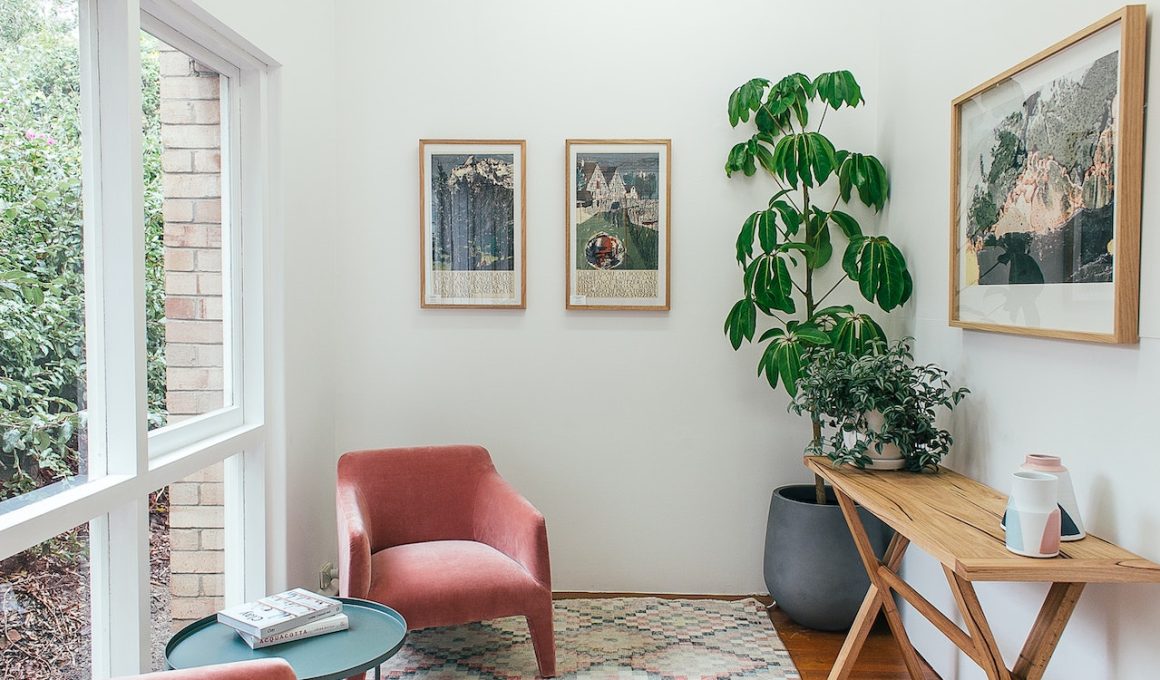 Welke soorten planten toevoegen aan je interieur?