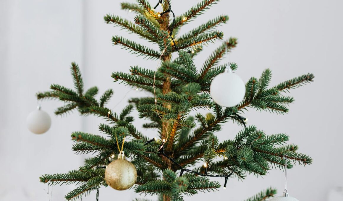 Waarom een zwarte kunstkerstboom in de horeca?