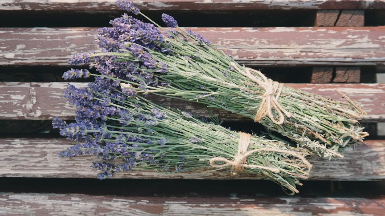 tuinhout beschermen