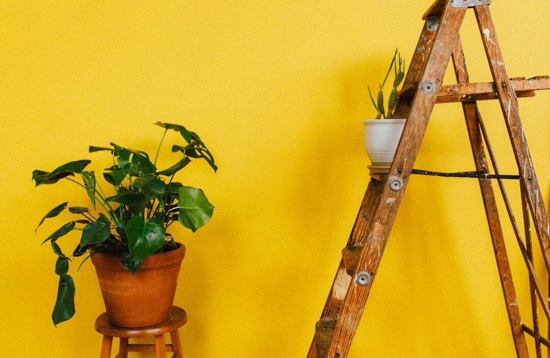 Mustard Yellow