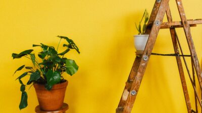 Mustard Yellow