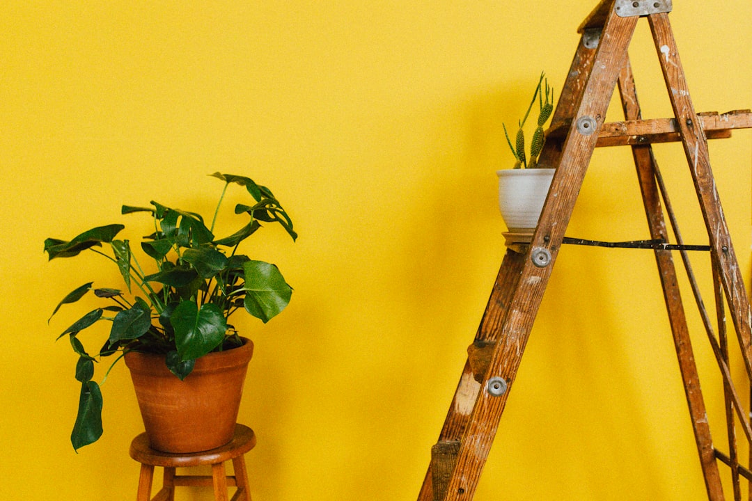 Mustard Yellow