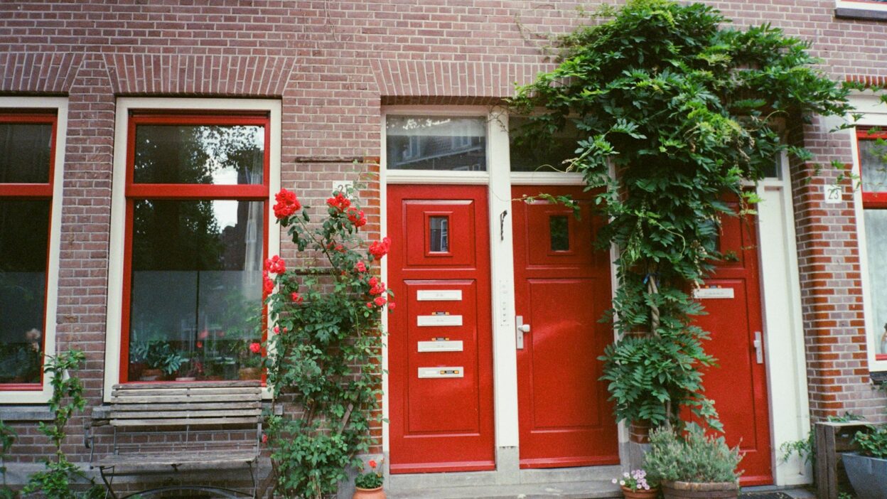 Rood combineren met welke kleur in je interieur? Ontdek de mooiste combinaties!